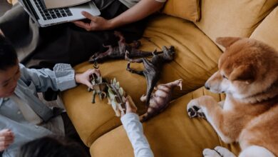 Children playing with dinosaur toys on a sofa while a dog observes. Overhead shot with fun vibe.