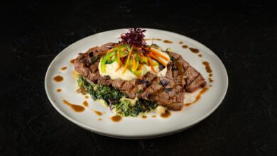 Savor the elegant presentation of a gourmet steak dish with fresh vegetable garnish and creamy sauce.