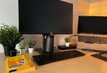 A modern home office setup featuring a monitor, laptop, and greenery for remote work inspiration.