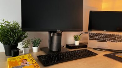 A modern home office setup featuring a monitor, laptop, and greenery for remote work inspiration.