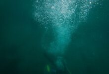 A scuba diver creates a trail of bubbles while exploring the deep ocean underwater.