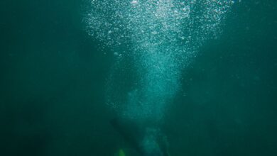 A scuba diver creates a trail of bubbles while exploring the deep ocean underwater.
