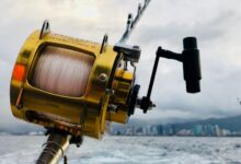 Close-up of a fishing rod and reel over the ocean with the Honolulu skyline in the background.