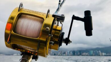 Close-up of a fishing rod and reel over the ocean with the Honolulu skyline in the background.