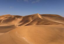 Golden sand dunes under clear blue skies in Swakopmund, Namibia.
