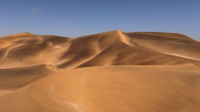 Golden sand dunes under clear blue skies in Swakopmund, Namibia.