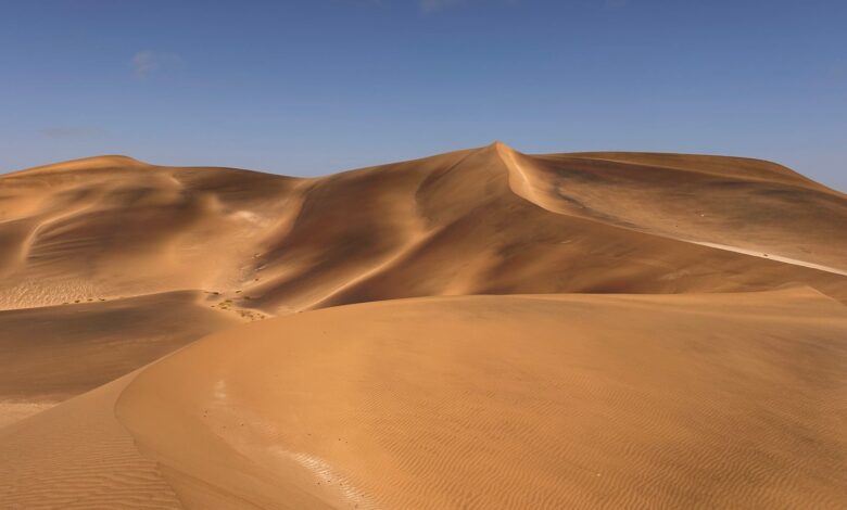 Golden sand dunes under clear blue skies in Swakopmund, Namibia.