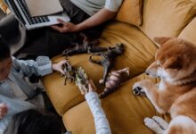 Children playing with dinosaur toys on a sofa while a dog observes. Overhead shot with fun vibe.