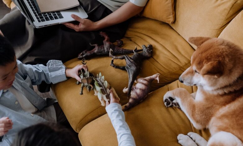 Children playing with dinosaur toys on a sofa while a dog observes. Overhead shot with fun vibe.