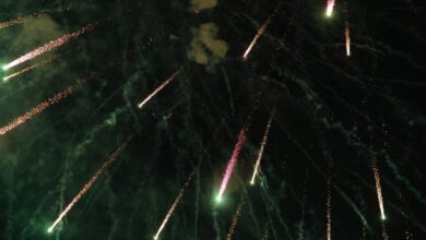 Stunning fireworks burst across the dark night sky, ideal for celebration themes.