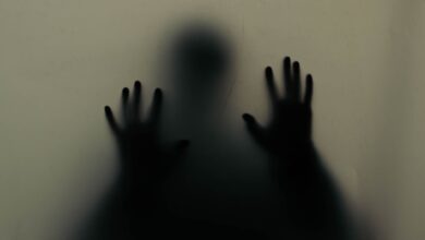 Mysterious silhouette of hands pressing against a translucent wall, creating an eerie atmosphere.