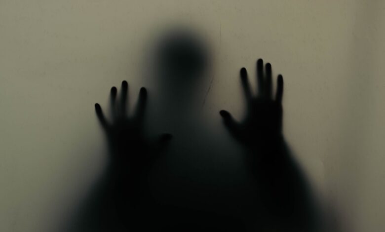 Mysterious silhouette of hands pressing against a translucent wall, creating an eerie atmosphere.
