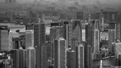 Monochrome cityscape of Tokyo featuring skyscrapers and urban landscape.