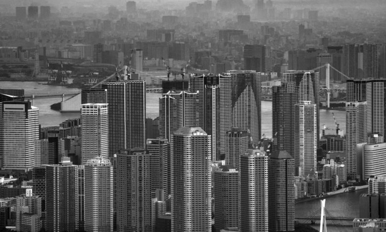 Monochrome cityscape of Tokyo featuring skyscrapers and urban landscape.