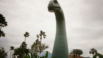 A large dinosaur statue surrounded by palm trees under a cloudy sky.