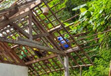 Workers building a wooden roof frame amidst lush greenery in Pacitan, East Java, Indonesia.