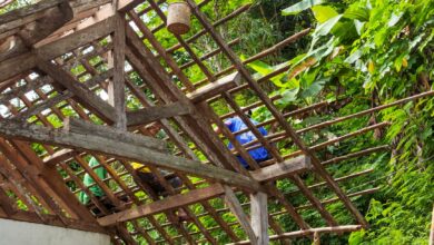 Workers building a wooden roof frame amidst lush greenery in Pacitan, East Java, Indonesia.