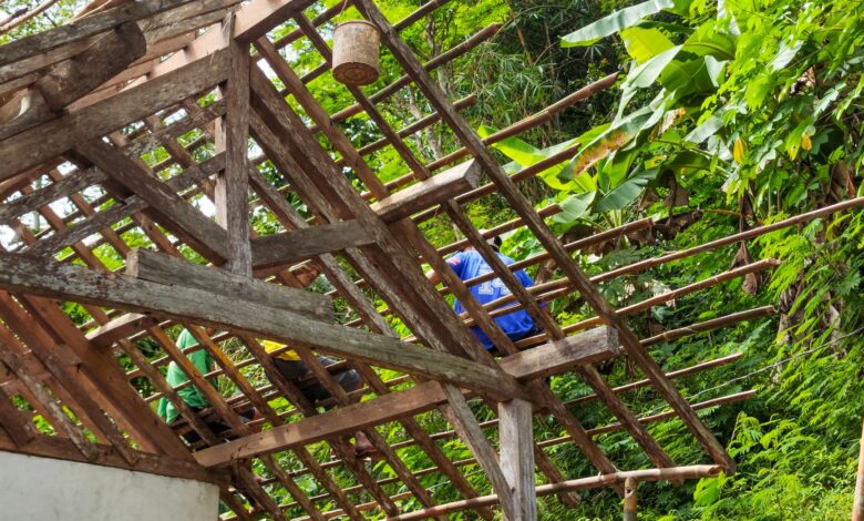 Workers building a wooden roof frame amidst lush greenery in Pacitan, East Java, Indonesia.