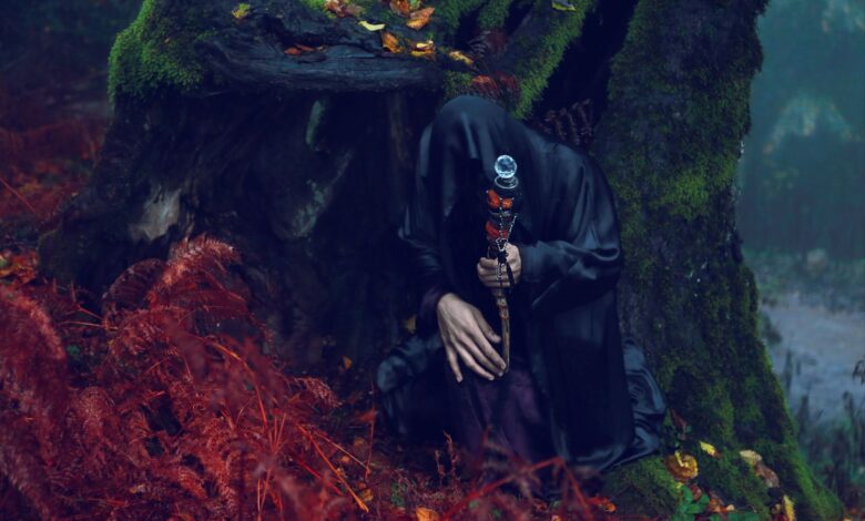 Enlightening scene of a cloaked figure with staff in a mysterious forest surrounded by red ferns.