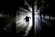 Mysterious silhouette in foggy forest with dramatic backlighting creating an eerie atmosphere.