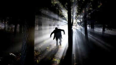 Mysterious silhouette in foggy forest with dramatic backlighting creating an eerie atmosphere.