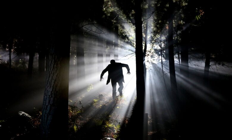 Mysterious silhouette in foggy forest with dramatic backlighting creating an eerie atmosphere.