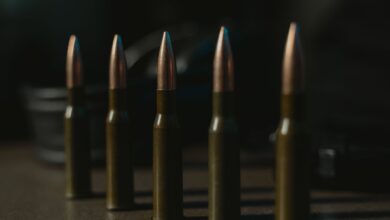 Detailed close-up image of bullet cartridges aligned in a row, showcasing ammunition design.