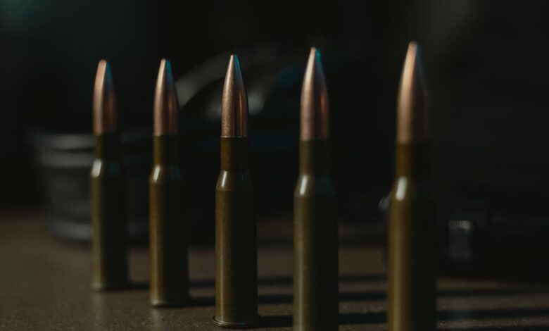 Detailed close-up image of bullet cartridges aligned in a row, showcasing ammunition design.