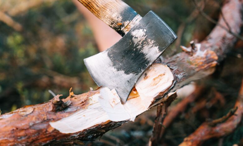 Close-up of an axe embedded in a tree branch, highlighting the concept of chopping wood.