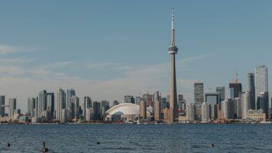 Beautiful view of Toronto skyline from across the water showcasing the iconic CN Tower and Rogers Centre.