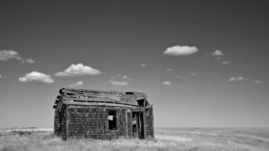 Black and white photo of a dilapidated house on open plains under a clear sky.
