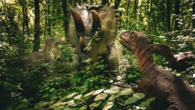 Realistic dinosaur models in a lush forest create an educational prehistoric scene.