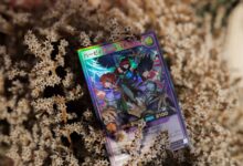 Vibrant trading card featuring anime artwork, placed on dried foliage. Perfect for collectors and hobbyists.