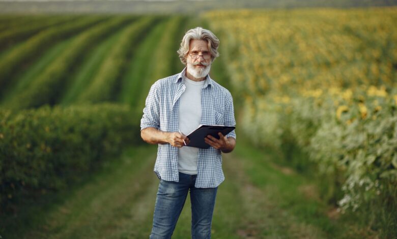 Mature farmer standing in a lush sunflower field using a tablet for agribusiness.