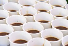 Close-up of multiple white paper cups containing brown liquid, arranged uniformly.