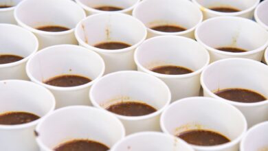 Close-up of multiple white paper cups containing brown liquid, arranged uniformly.