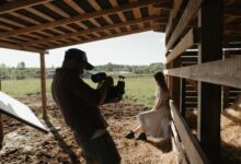 A filmmaker captures a serene scene in a rustic barn setting, outdoors.