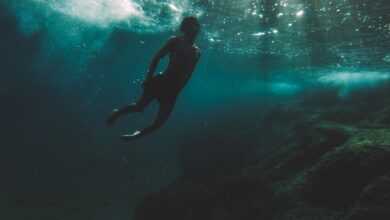 Silhouette of a diver exploring deep underwater surrounded by sunlight rays.
