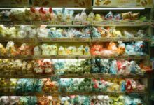 Vibrant collection of assorted plush toys packaged neatly on store shelves.