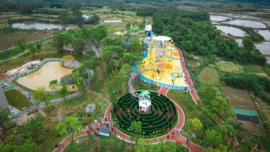A colorful aerial view of an amusement park in Jiujiang, China, surrounded by lush greenery.