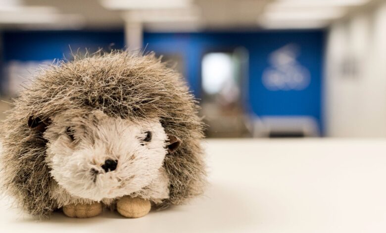 Close-up of a plush hedgehog toy on a white table with blurred office background.