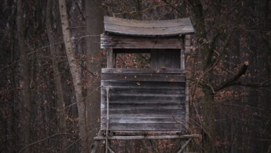 Rustic wooden hunting tower surrounded by autumn trees in a dense forest.