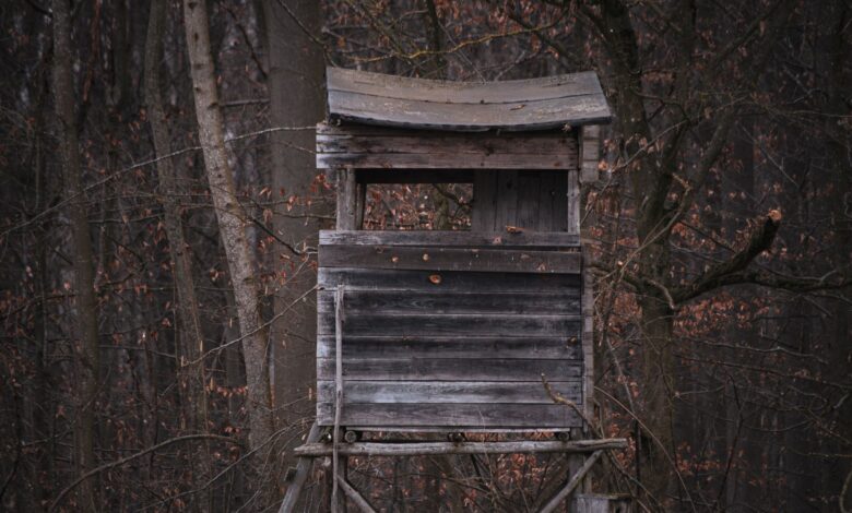 Rustic wooden hunting tower surrounded by autumn trees in a dense forest.