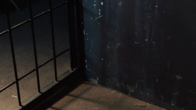 Moody image of metal bars casting shadows on a dark, grungy wall corner.