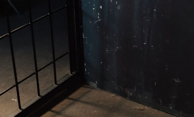 Moody image of metal bars casting shadows on a dark, grungy wall corner.