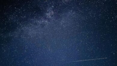 A clear night sky filled with stars and a meteor streaking across.