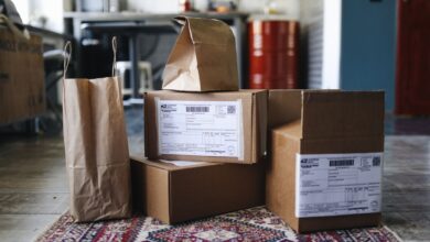 A collection of cardboard boxes and paper bags on a patterned rug in a home setting.