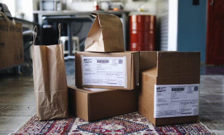 A collection of cardboard boxes and paper bags on a patterned rug in a home setting.