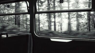 A black and white view of a forest through a moving train window, capturing the motion and ambiance.