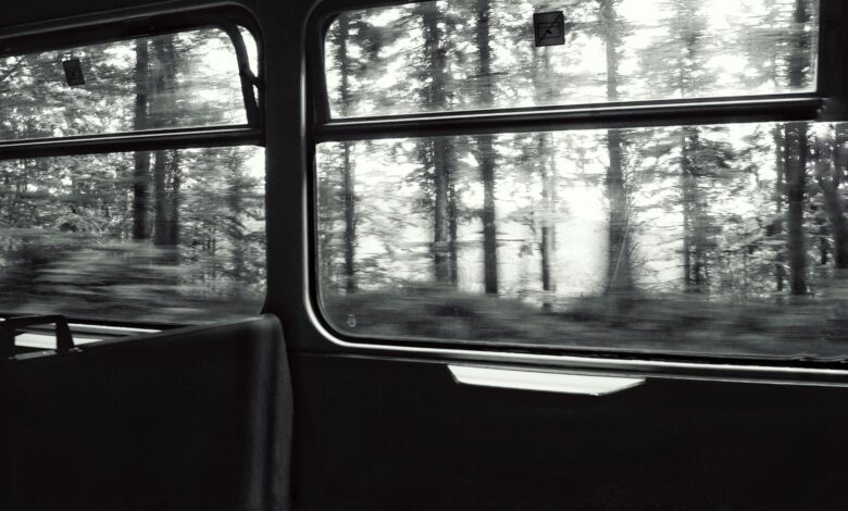 A black and white view of a forest through a moving train window, capturing the motion and ambiance.